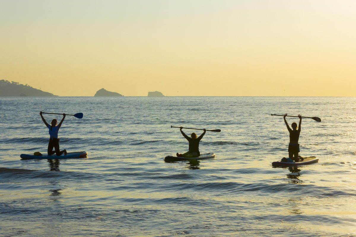 A group of friends enjoying stand up paddle boarding in Torbay