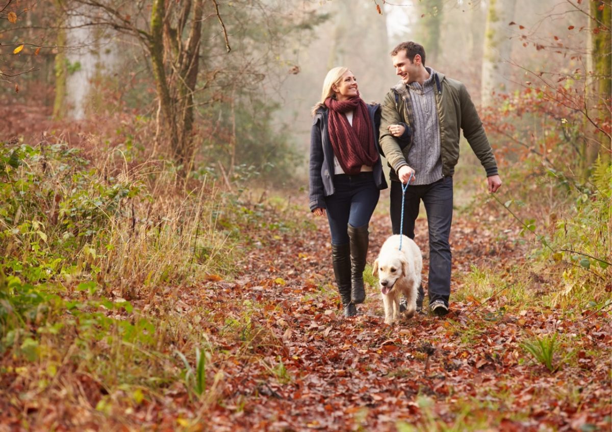 A couple enjoying a romantic woodland walk in South Devon