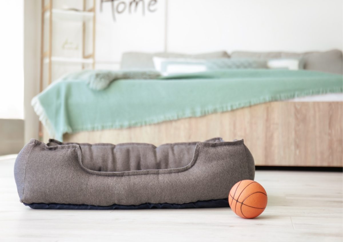 A dog bed and dog toy in a bedroom of a holiday home in South Devon