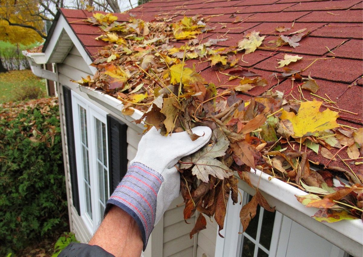 Gutter being cleared of leaves as part of winter property maintenance for holiday lets.