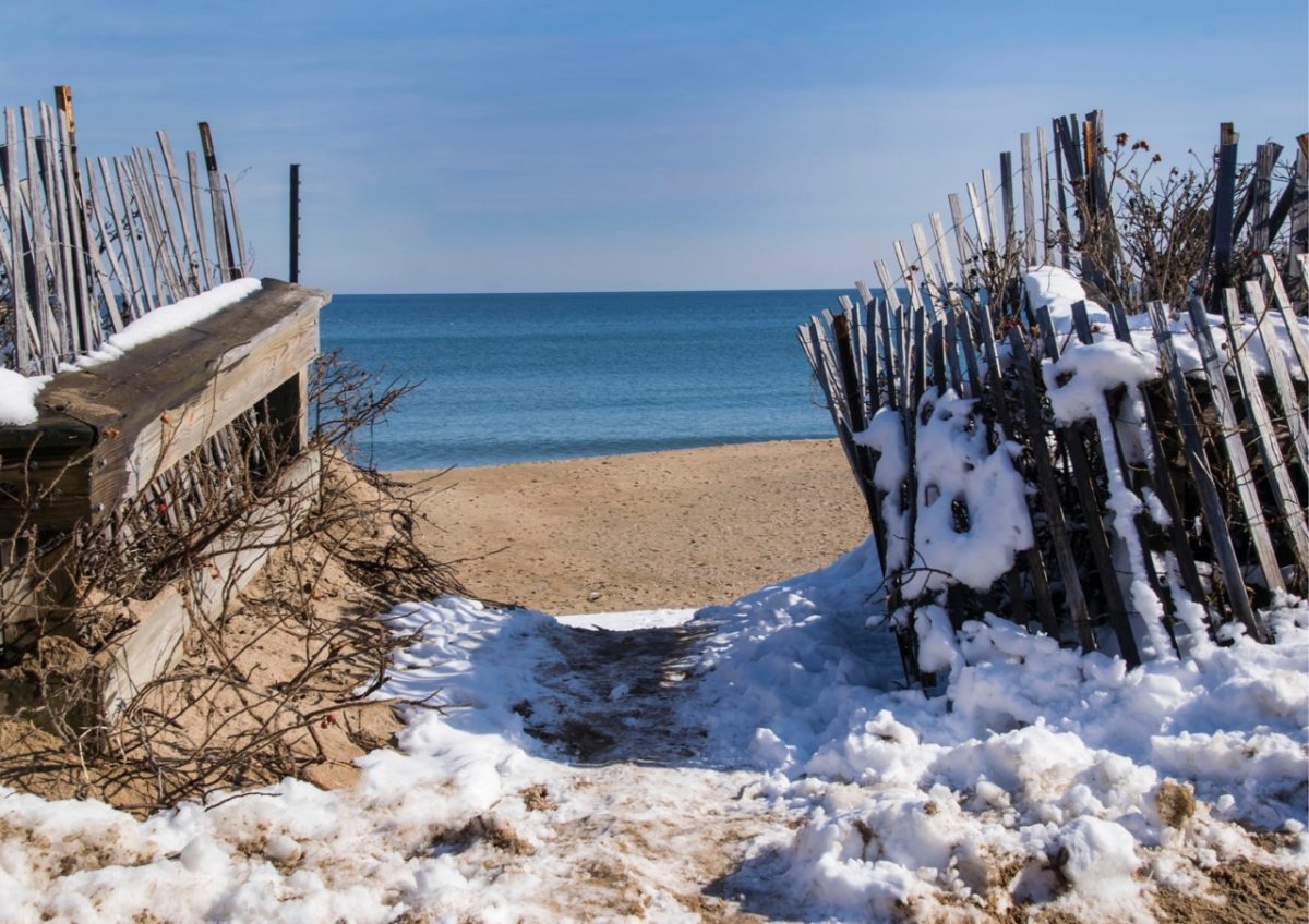 Winter path leading to a quiet South Devon beach, lightly dusted with snow and framed by coastal vegetation.