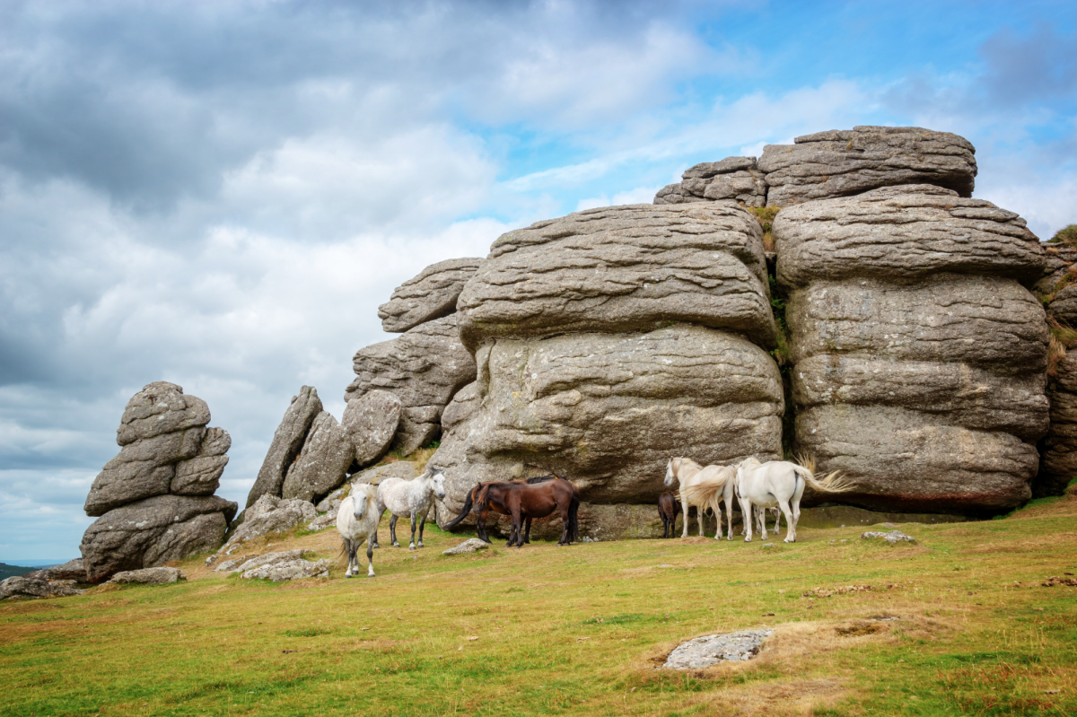 Dartmoor with its stunning tors and wild ponies