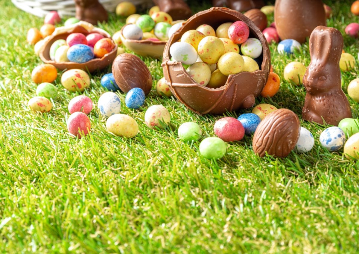 Easter eggs and chocolate bunnies on the grass during an Easter egg hunt in South Devon